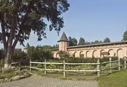 Аптекарский огород, Спасо-Евфимиевский монастырь в Суздале