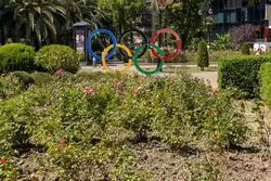 Олимпийские кольца в сквере на Навагинской улице в Сочи