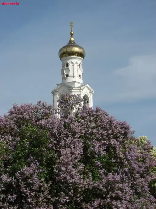 Юрьев монастырь, Великий Новгород