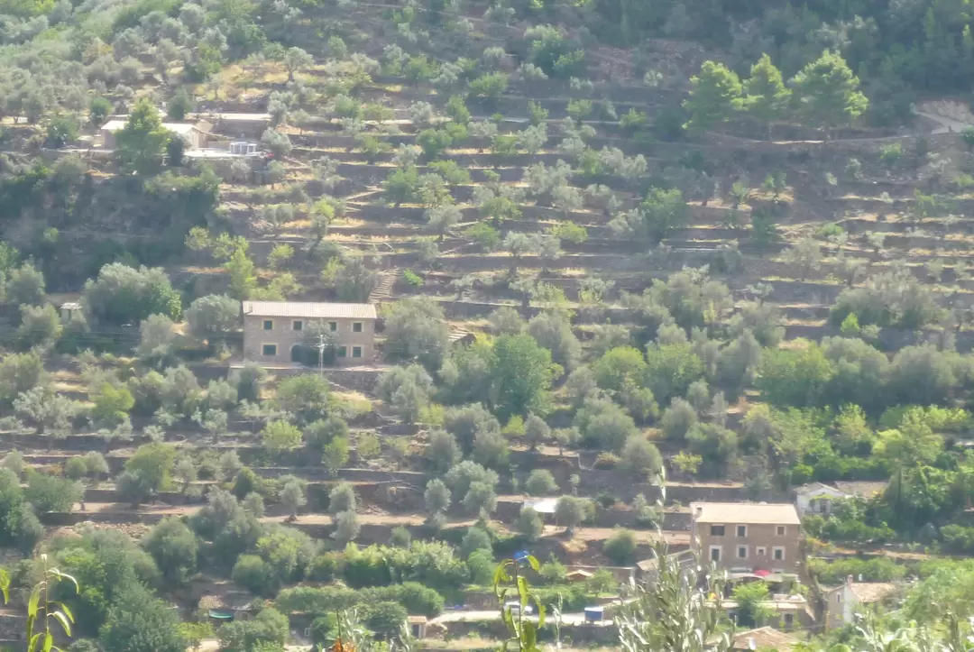 По дороге Palma — Soller По дороге Palma — Soller
