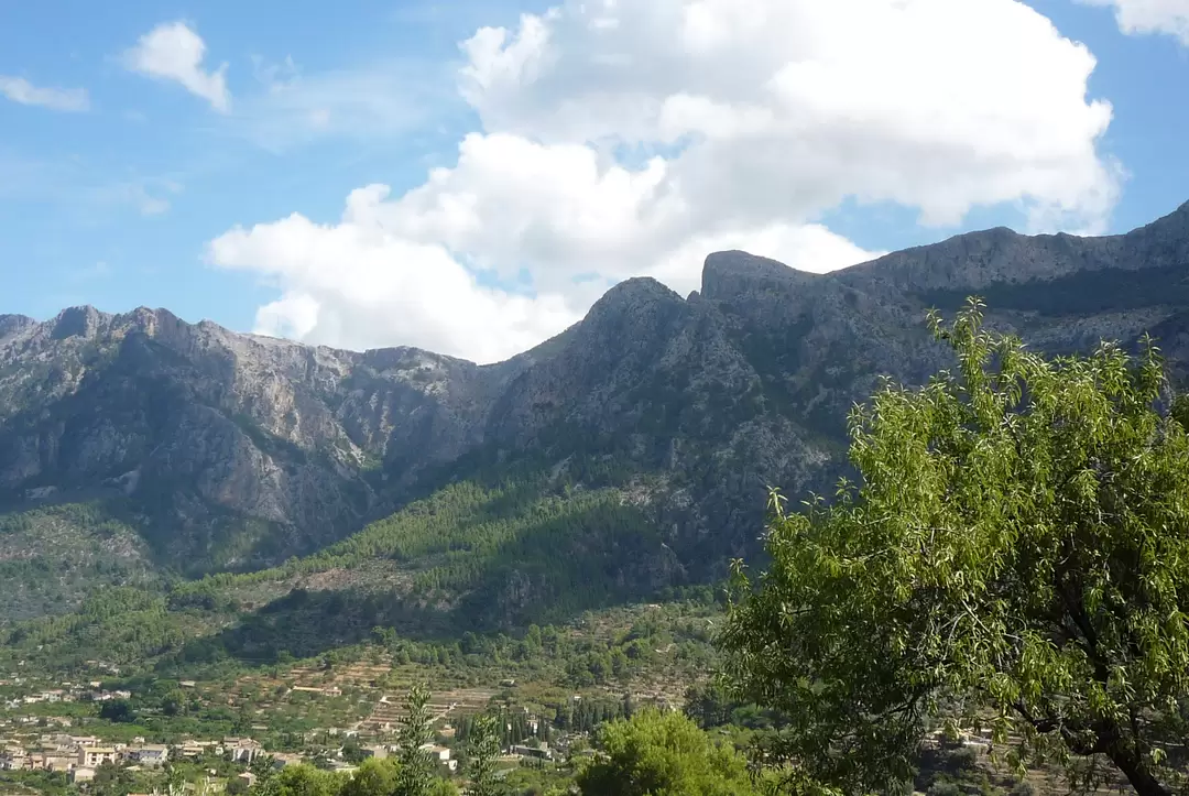 По дороге Soller — Palma По дороге Soller — Palma