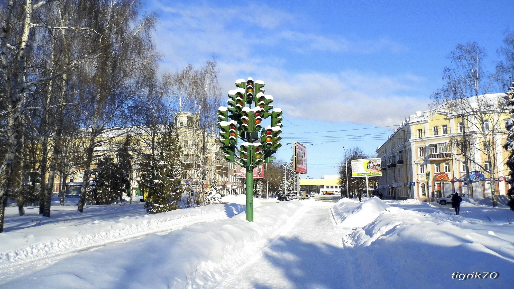 Пенза, Светофорное дерево