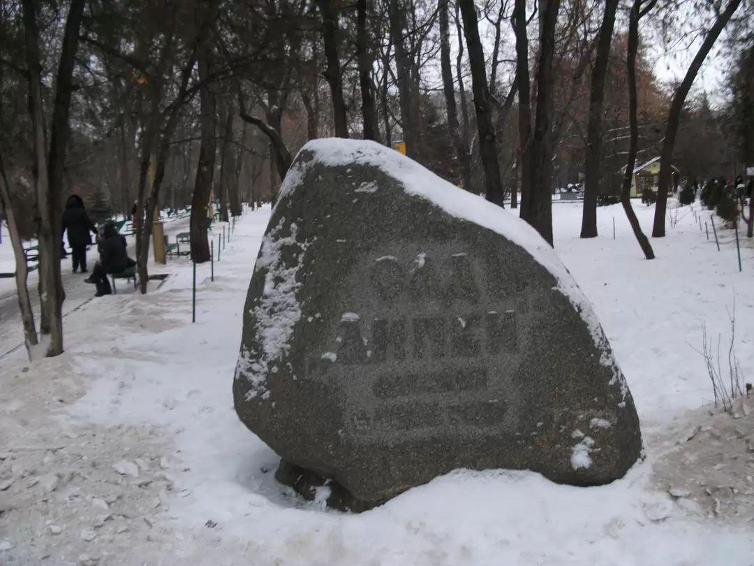 Саратов. Сад «Липки», декабрь
