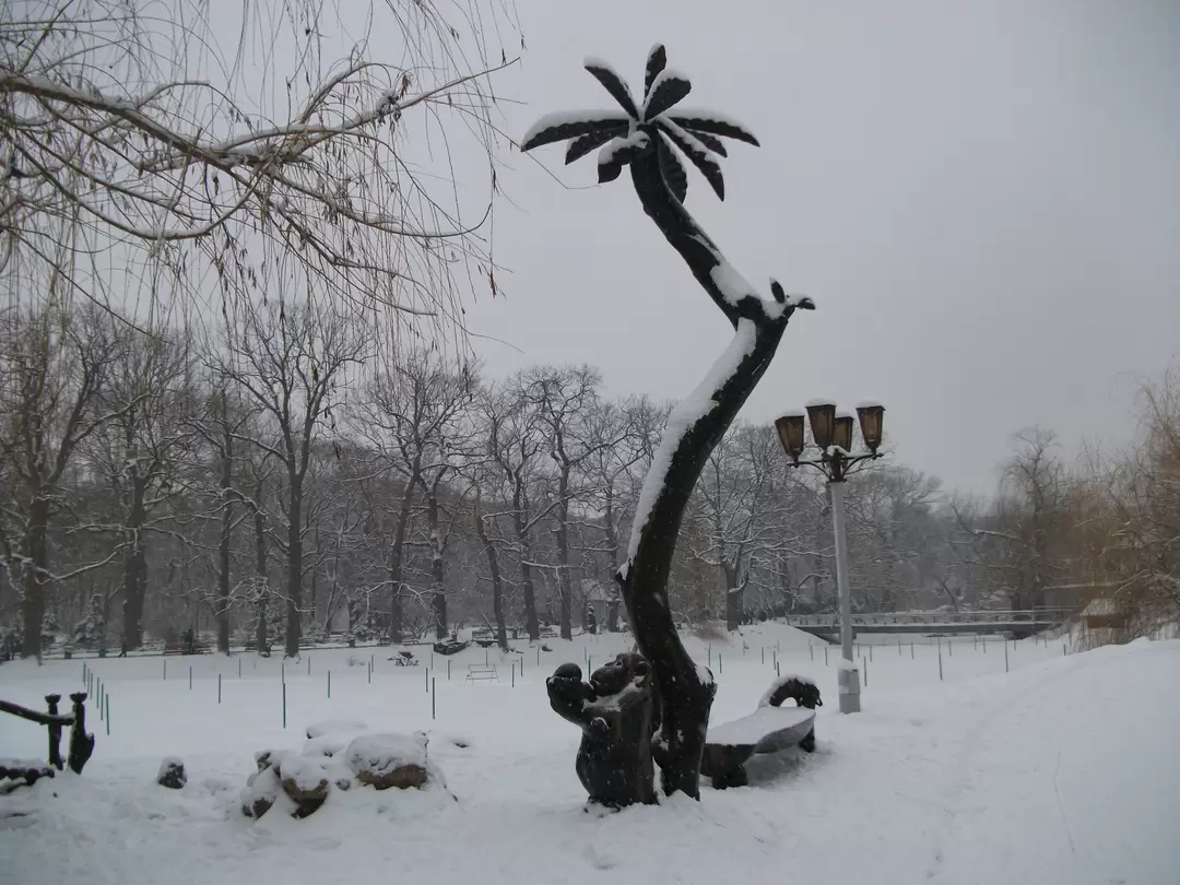 В городском парке Саратова