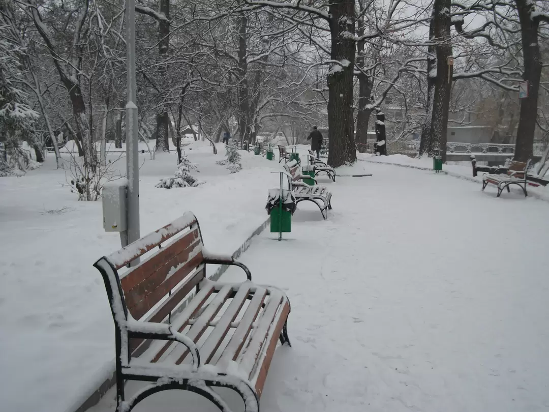 Саратов. В городском парке
