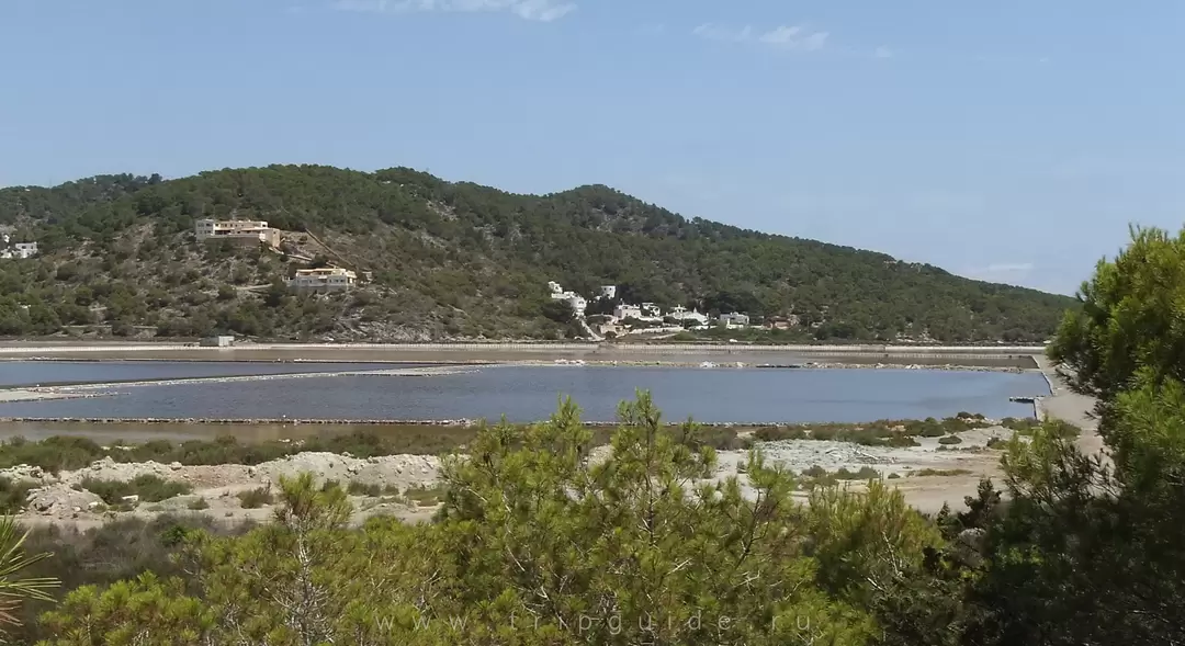 Пляж Cavallet, парк Ses Salines, фото 5