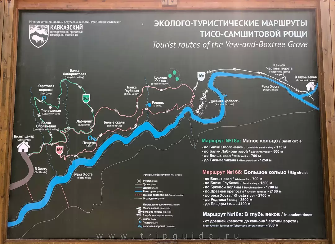 Тисо-Самшитовая роща, схема маршрутов