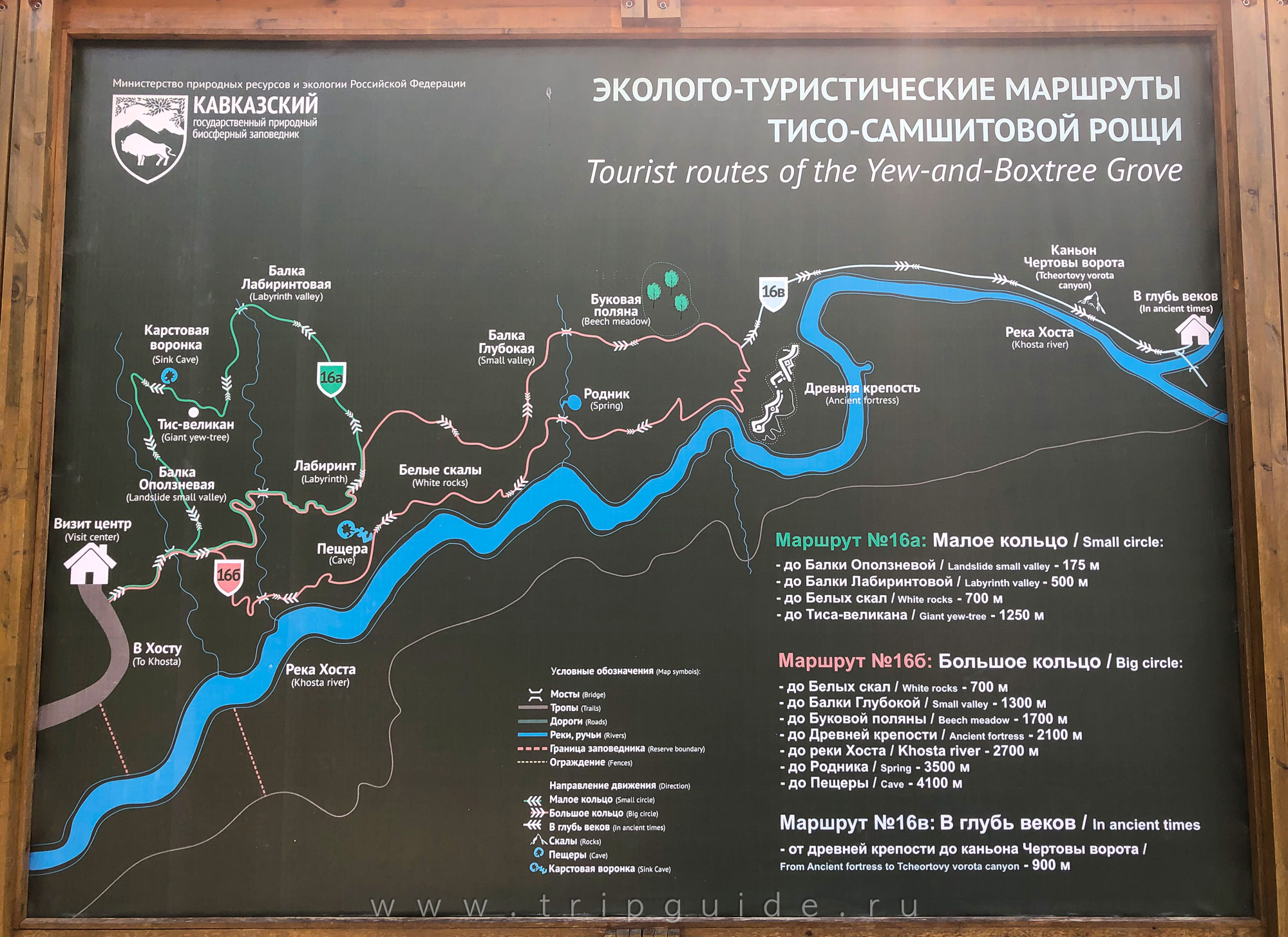 Тисо-Самшитовая роща Сочи карта маршрута