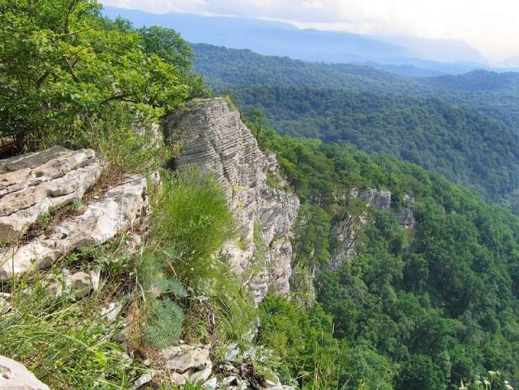 Орлиные скалы сочи фото