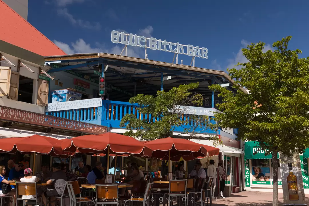 Blue B*ch Bar Philipsburg — Бар «Голубая Сука» кроме всего прочего продает ром с изображением самки собаки Blue B*ch Bar Philipsburg — Бар «Голубая Сука» кроме всего прочего продает ром с изображением самки собаки