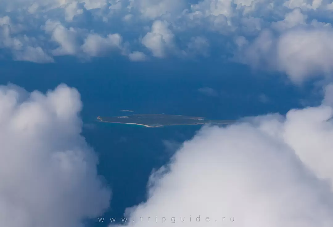 Dog Island (Дог-Айленд, Собачий остров) Dog Island (Дог-Айленд, Собачий остров)