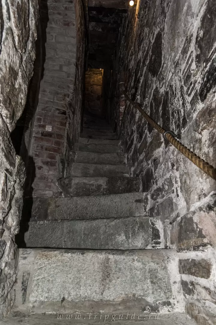 Башня Розенкранц, фото 23