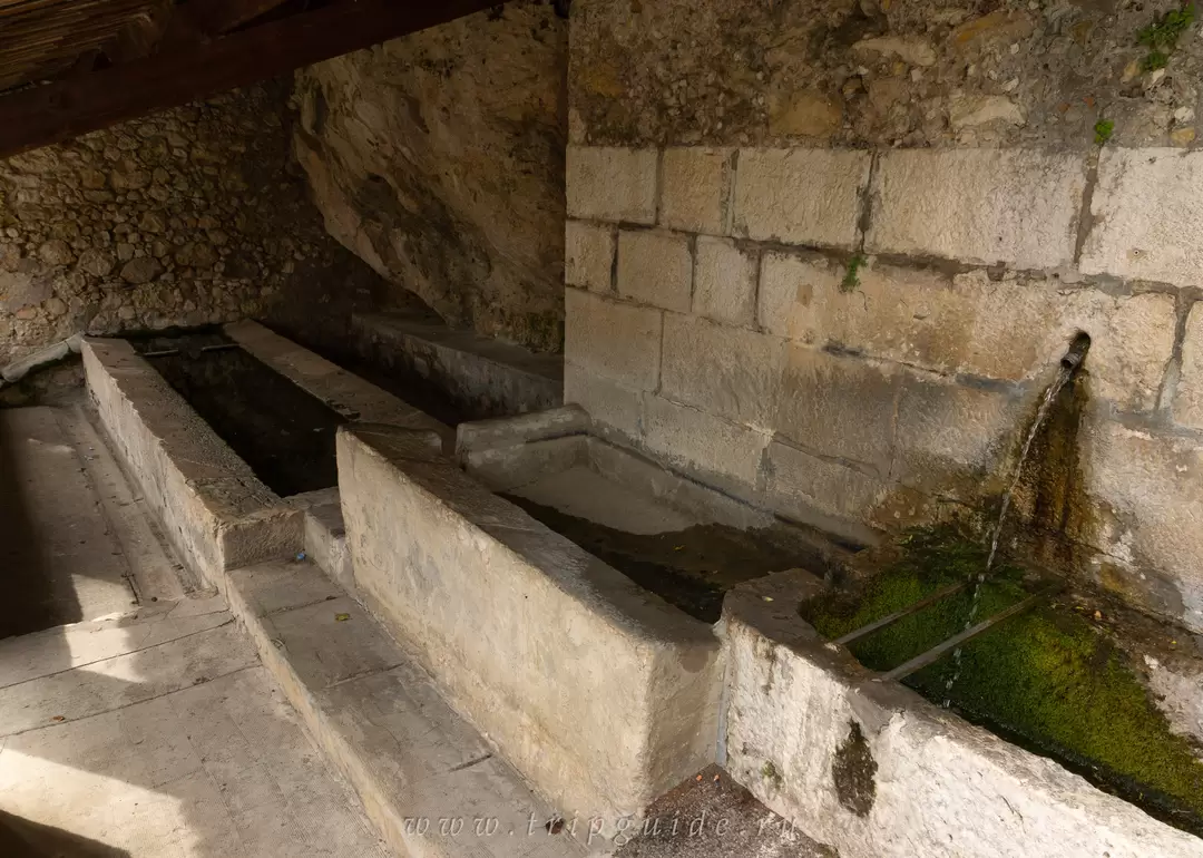 Карро Карро, фото 32