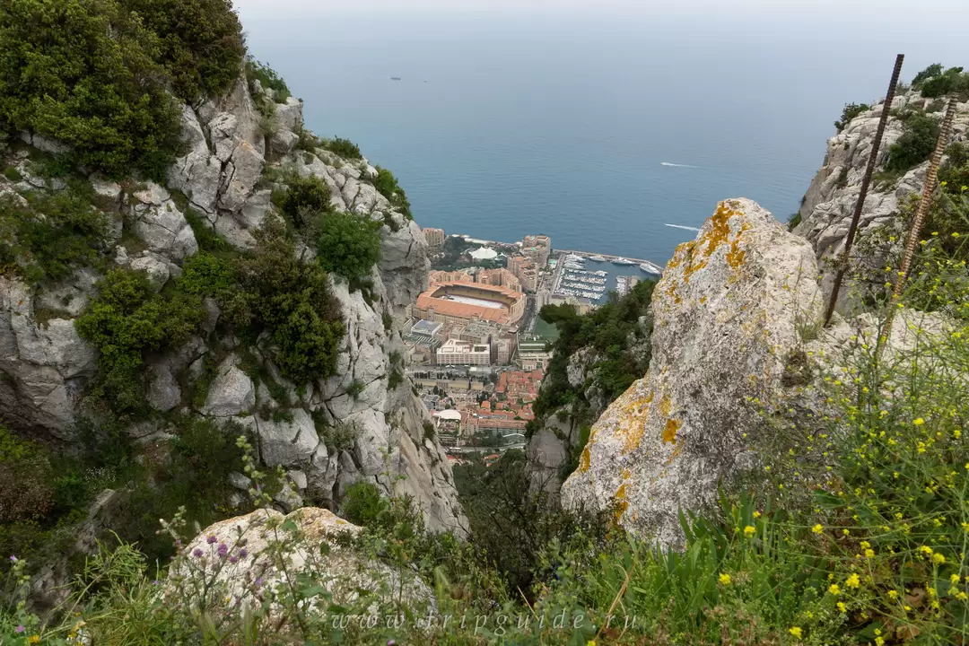 Скала Голова Собаки (Tête de Chien), фото 1