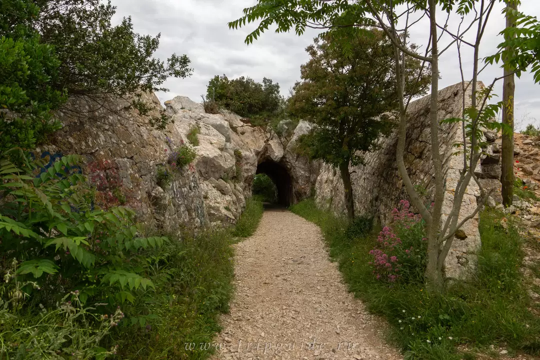 Скала Голова Собаки (Tête de Chien), фото 10
