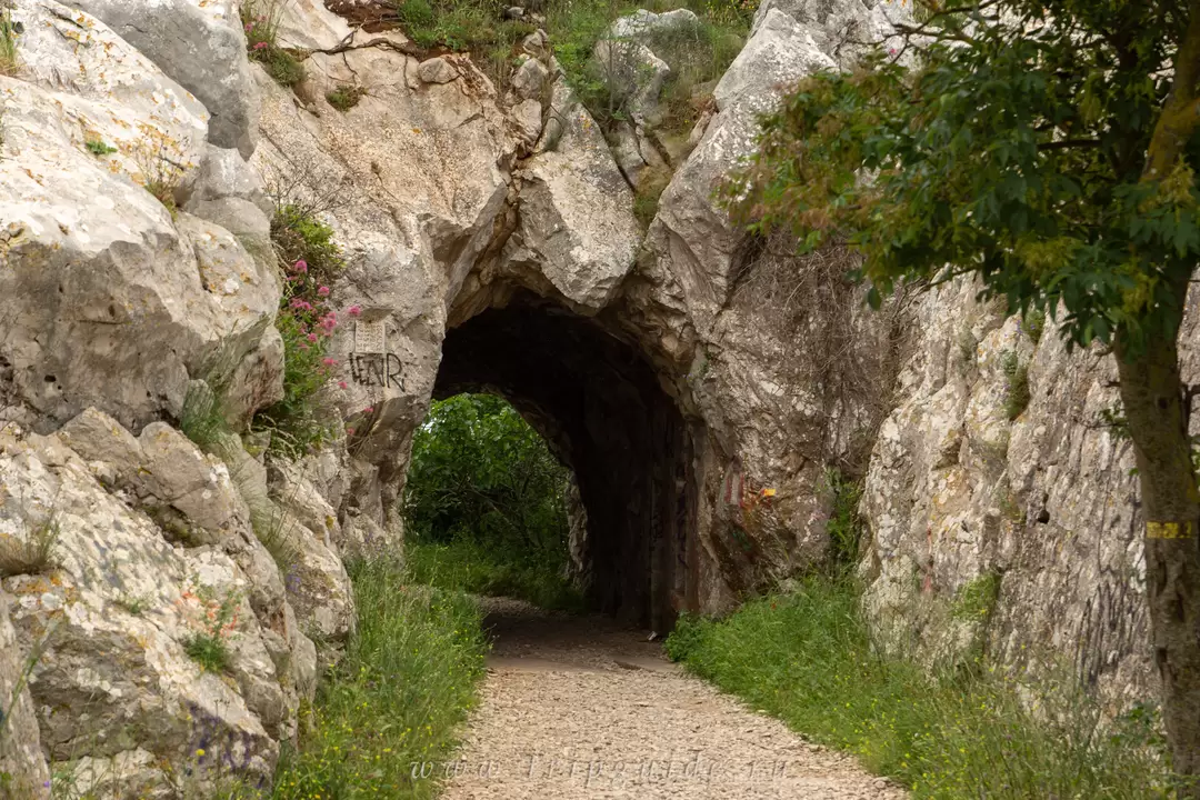 Скала Голова Собаки (Tête de Chien), фото 11