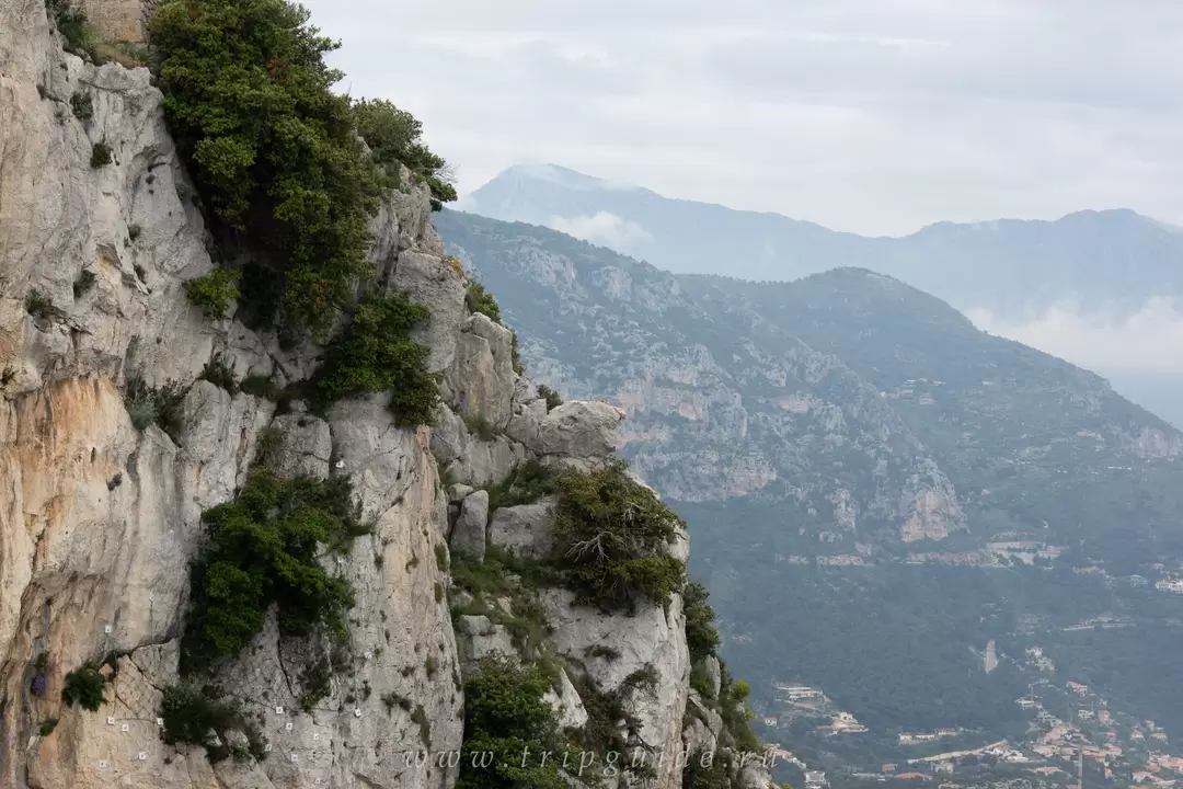 Скала Голова Собаки (Tête de Chien), фото 30