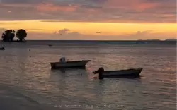 Остров Ла-Диг, фото 55