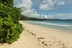 Большой пляж (Grand Anse)