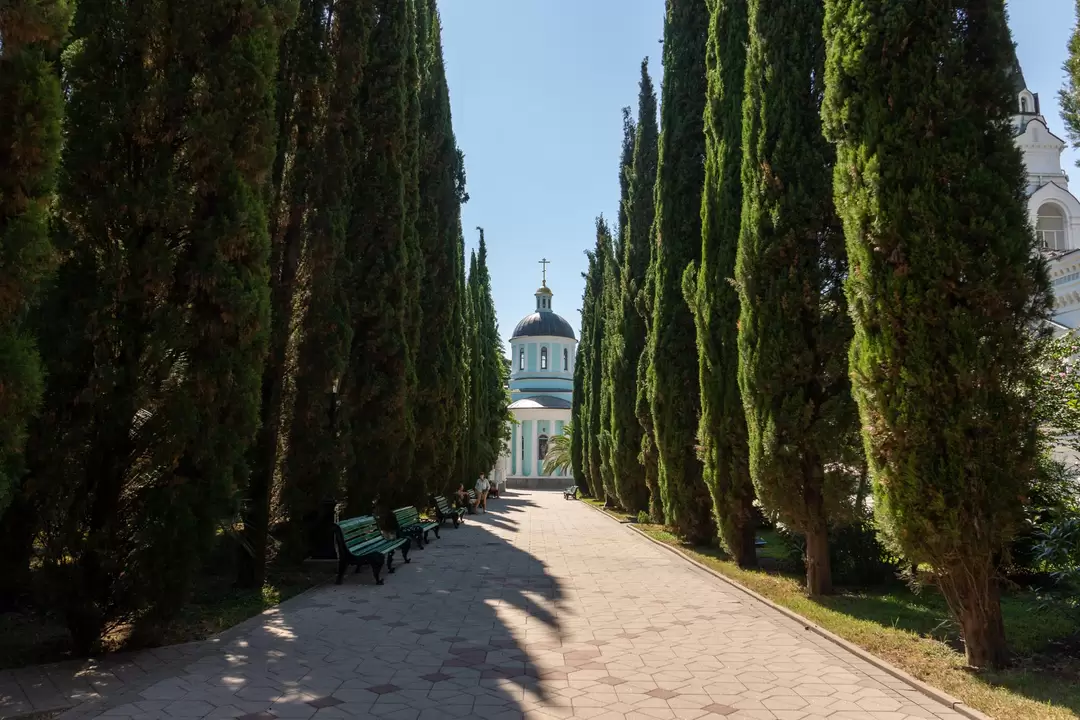 Аллея кипарисов на территории храма Архангела Михаила Аллея кипарисов на территории храма Архангела Михаила