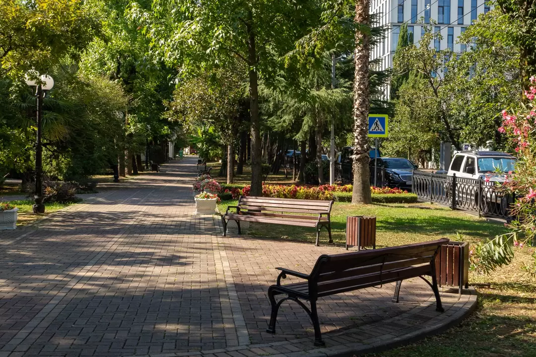 Парк имени Фрунзе в Сочи Парк имени Фрунзе в Сочи