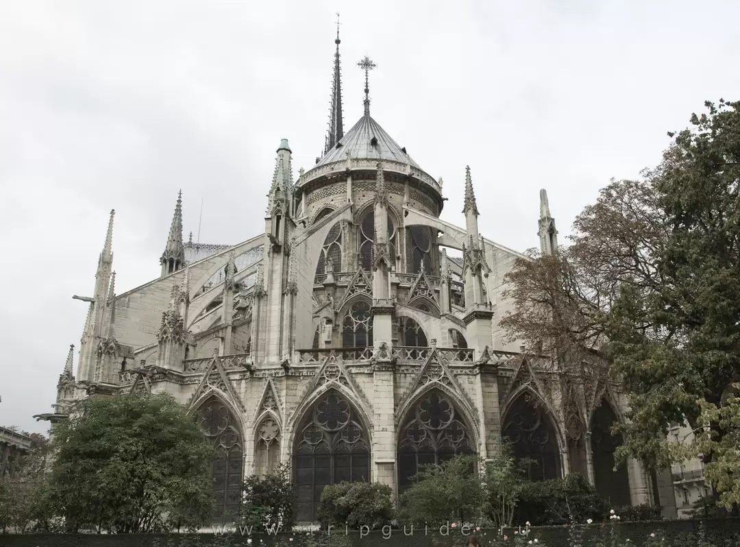 Собор Парижской Богоматери, фото 30 Собор Парижской Богоматери, фото 30