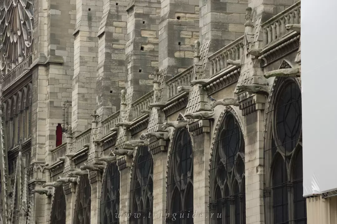 Собор Парижской Богоматери, фото 84 Собор Парижской Богоматери, фото 84