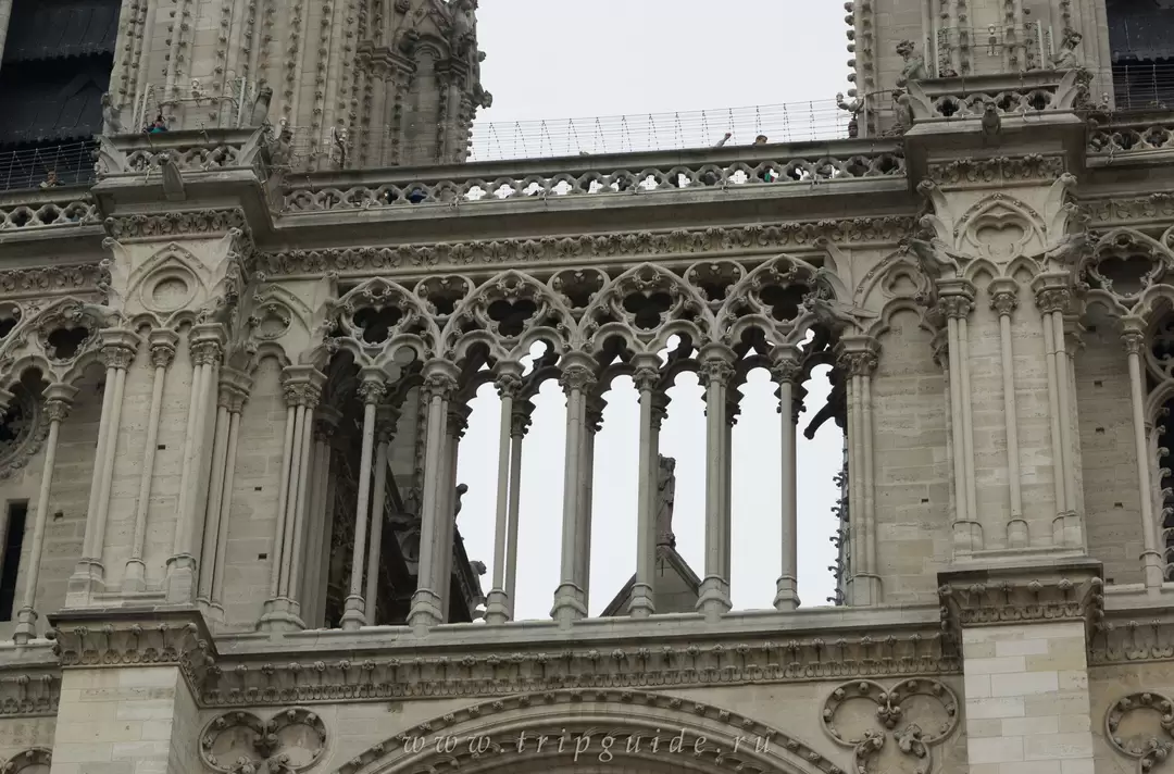 Собор Парижской Богоматери, фото 59 Собор Парижской Богоматери, фото 59
