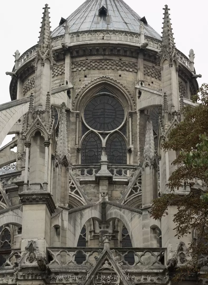 Собор Парижской Богоматери, фото 77 Собор Парижской Богоматери, фото 77