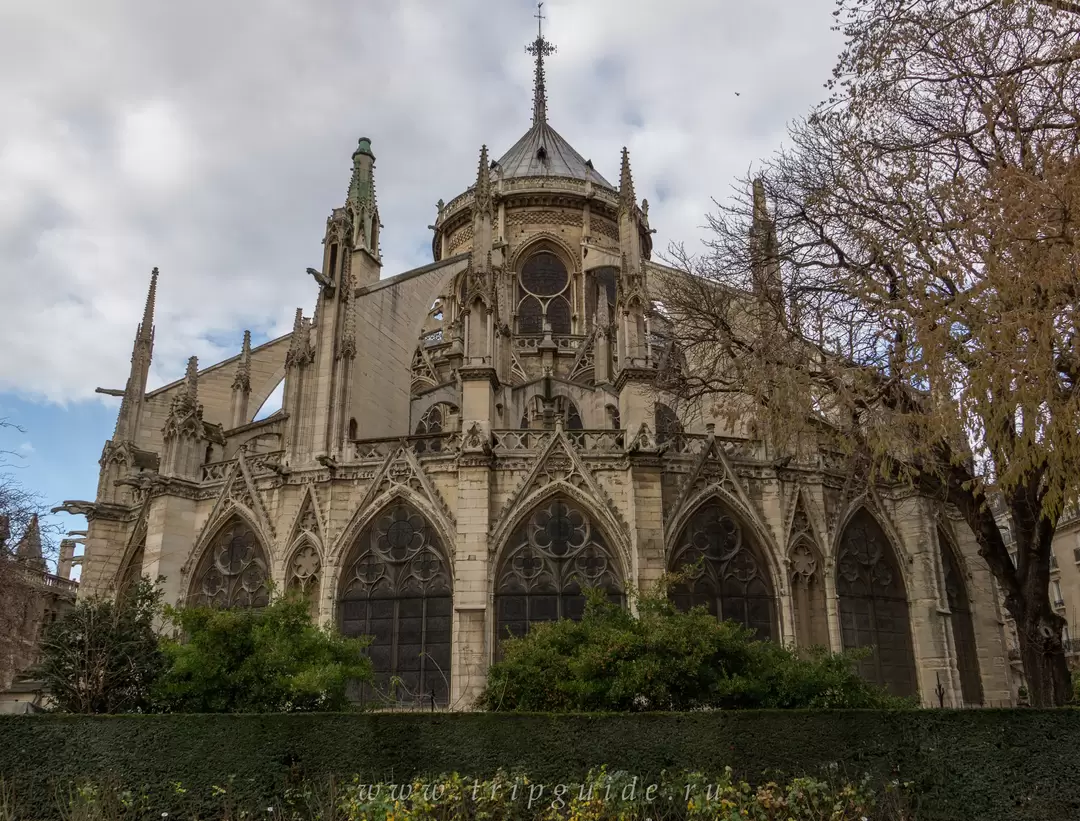 Собор Парижской Богоматери, фото 87 Собор Парижской Богоматери, фото 87