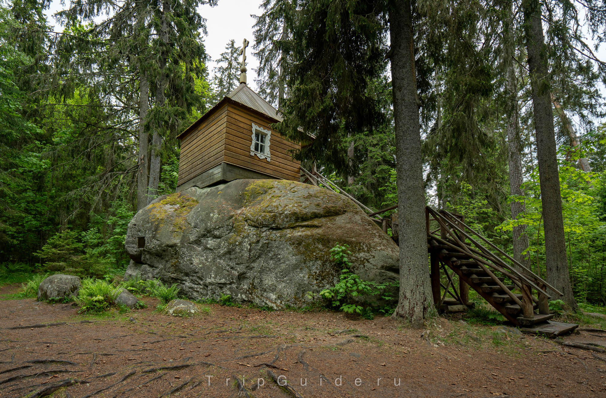 Конь-камень, Коневец