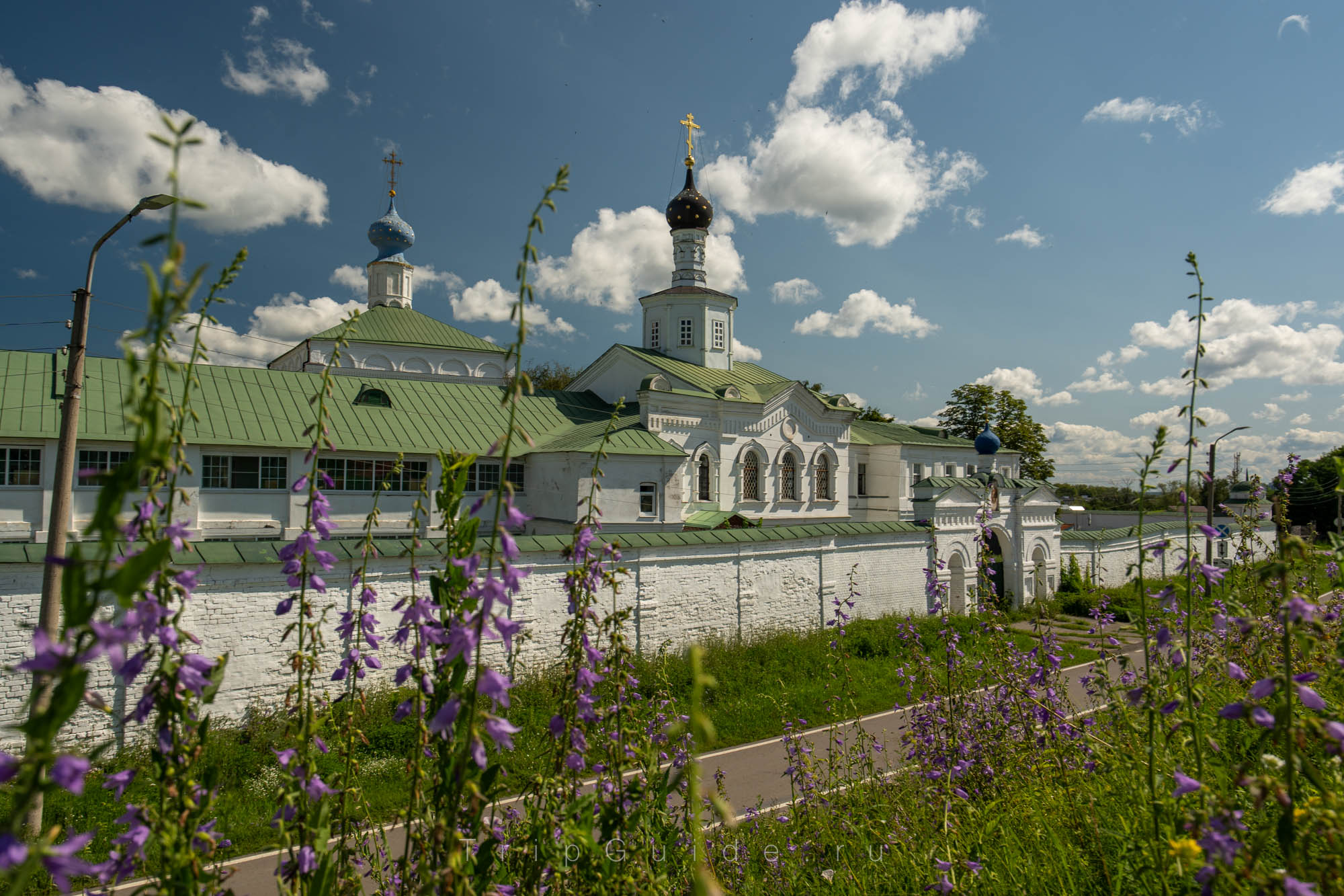 Спасский монастырь и цветочки