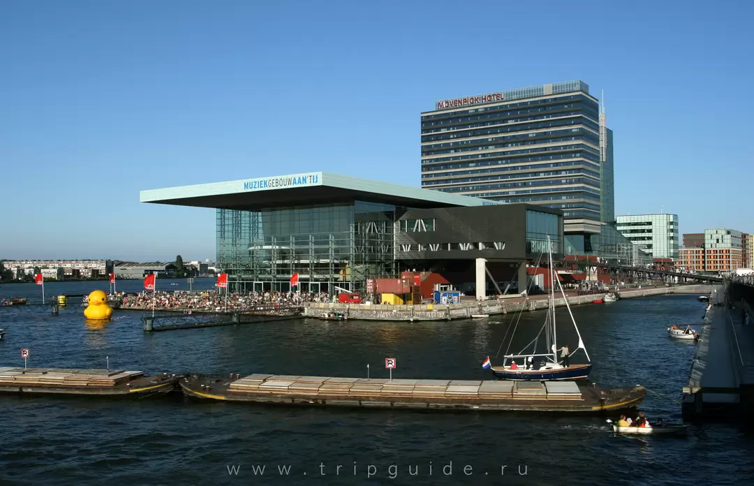 Музыкальный холл на реке Эй (<span lang=nl>Muziekgebouw aan IJ</span>)